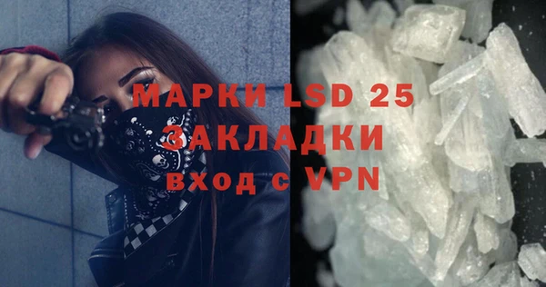 индика Нея