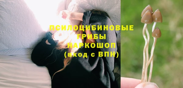 тгк Киселёвск