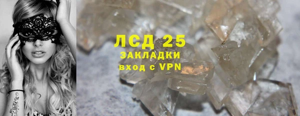 индика Нея