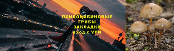 тгк Киселёвск