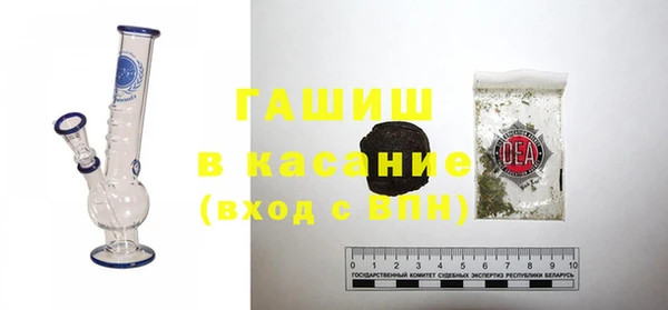 индика Нея