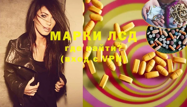 индика Нея