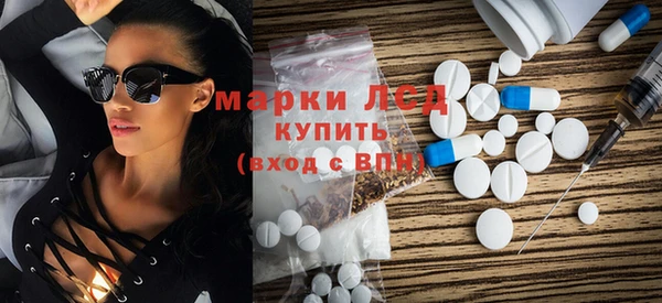 индика Нея