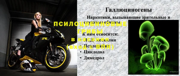 спиды Нефтекумск