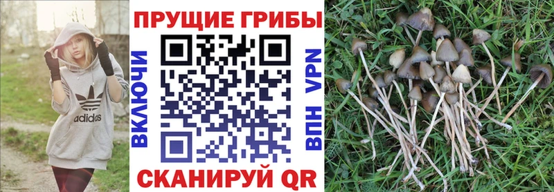 мега ссылки Мирный Псилоцибиновые грибы мухоморы