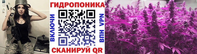 Бошки марихуана планчик  Мирный 