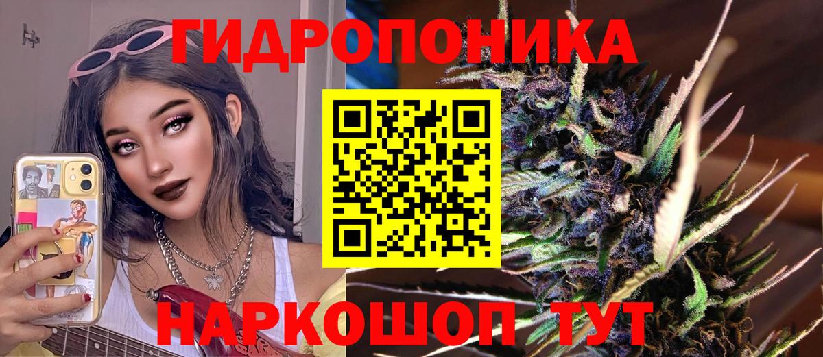 Канабис Bruce Banner Мирный